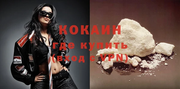 шишки Медногорск