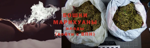 прущие грибы Магас