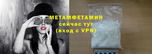 прущие грибы Магас
