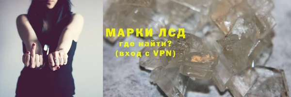 прущие грибы Магас