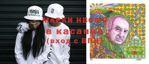 прущие грибы Магас