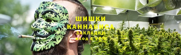 прущие грибы Магас