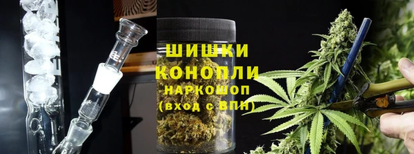 прущие грибы Магас