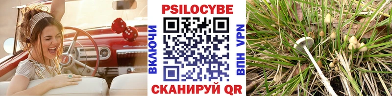 Галлюциногенные грибы Psilocybine cubensis  Купить закладки  Кузнецк 